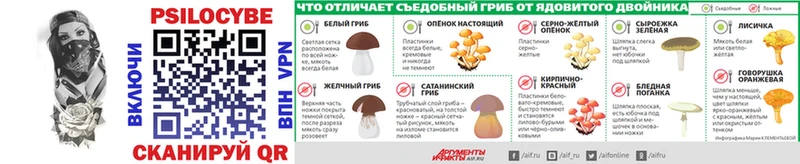 Галлюциногенные грибы GOLDEN TEACHER  купить закладку  Зерноград 